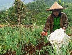 Pemkab Kampanyekan Perlindungan Lahan Pertanian