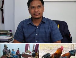 Penyidik Polres Toraja Limpahkan Lima Tersangka Judi Sabung Ayam