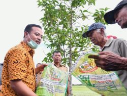 Pemprov Salurkan Bantuan Benih Padi ke Petani