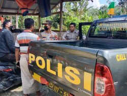 Kapolsek Sanggalangi Grebek Judi Sabung Ayam di Tongkonan Bamban