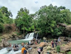 Jaga Kelestarian Alam, Kades Kale Ko’ mara – Mahasiswa UIN Tanam 1000 Pohon