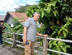 Bupati Irwan Hamid Tinjau Kondisi Jembatan Bila yang Nyaris Ambruk