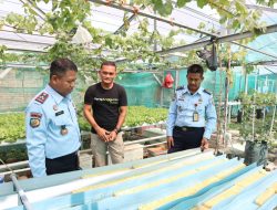 Kembangkan Pembinaan di Bidang Pertanian, Kalapas Kunjungi Lahan Hidroponik