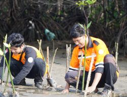 Baznas Apresiasi KKMB UINAM Tanam Mangrove di Luppung