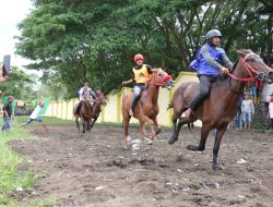 Pordasi Soppeng Gelar Lomba Pacuan Kuda