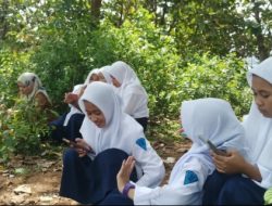 Siswa Satap Rela Naik Gunung Demi Sinyal Lomba Mapel