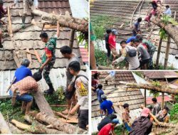 Bhabinkamtibmas Polsek Tondom Memotong Pohon Tumbang yang Menimpa Rumah Warga
