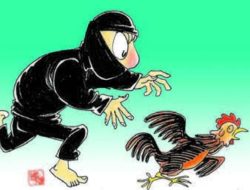 Hati-hati, Pencuri Ayam Beraksi di Perumahan Bumi Zarindah