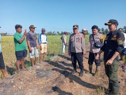 Kapolsek Duampanua Menghadiri acara Mappalili Persiapan Turun Sawah