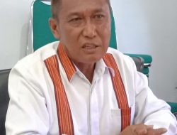 Anggota Dewan Tator Desak APH Tertibkan Tambang di Lembang Lea