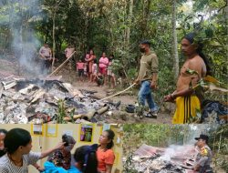 Si Jago Merah Lalap Rumah di Salimbongan