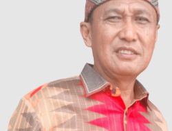 Anggota Dewan Desak Bupati Menghentikan  Penyadapan Getah Pinus Illegal oleh Perusahaan