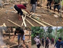 Polres Tana Toraja Bongkar Arena Sabung Ayam di Mengkendek dan Rembon