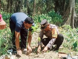 Polres Luwu dan Polsek Melaksanakan Penanaman Bibit Pohon 1025 Secara Serentak