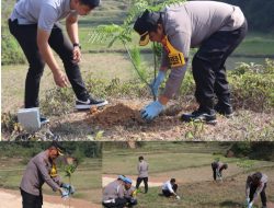 Polres Toraja Utara Menanam 3.000 Pohon