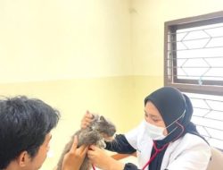 Antisipasi Rabies, Kedokteran Hewan Unhas Periksa Kesehatan Anjing dan Kucing