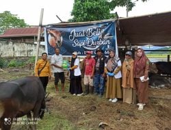 Jelang Iduladha, Pemkab Luwu Cek Kelayakan Hewan Kurban