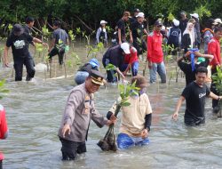 Polres Luwu Hadiri Aksi Penanaman 10.001 Bibit Mangrove di Hari  Lingkungan Hidup