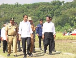 Presiden Jokowi Didampingi Mentan Andi Amran Tinjau Program Pompanisasi di Klaten