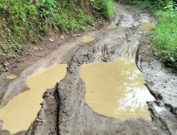 Kerusakan Jalan di Desa Bulue Dikeluhkan Warga