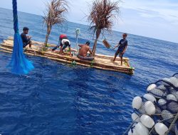 Program 1.000 Rumpon: Menggabungkan Ekologi dan Ekonomi untuk Masa Depan Kelautan Bulukumba
