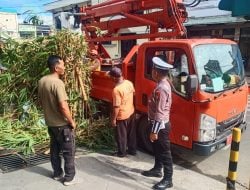 Sat Lantas Polres Parepare Dampingi DLH Pangkas Ranting Pohon yang Halangi Visualisasi Pengguna Jalan