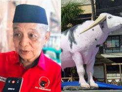 Warga Toraja Kecewa Miniatur Kerbau Belang  Hilang Di Beranda Rujab Gubernur Sulsel