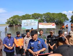 Pj Bupati Pinrang Melaksanakan Penanaman Mangrove di Pesisir Pantai Paria