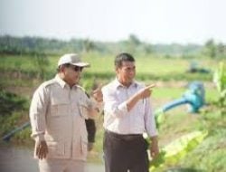 Prabowo dan Amran Turun ke Sawah di Marauke, Tinjau Program Swasembada Pangan