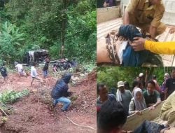 Bus Kitty Masuk Jurang di Battang  Empat Korban Tewas