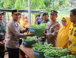 Kapolres Soppeng AKBP H Muh Yusuf Usman menghadiri Lauching Bibit Cabai Tampaning