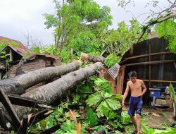Kunjungan Gerak Cepat Media Andalan Sulsel Peduli ke TKP Pohon Tumbang di Pinrang