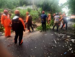 Bhabinkamtibmas Bantu Tim BPBD dan Damkar  Tangani Pohon Tumbang di Jalan Latasakka Bacukiki Barat