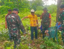 Pemerintah Desa Tellulimpoe Siapkan Lahan Seluas 2 H untuk Ditanami Jagung