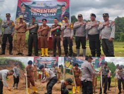 Polres Toraja Utara Tanam Jagung Dukung Ketahanan Pangan