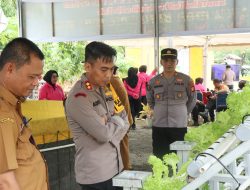 Launching Penguatan Program Pekarangan Pangan Lestari di Soppeng