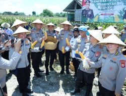 Hadiri Panen Raya Jagung, Ketua Apdesi Bulukumba All Out Dukung Program Ketahanan Pangan