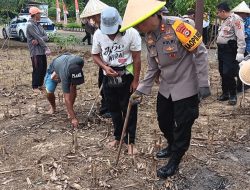 Kapolres Soppeng AKBP Aditya Pradana Turun Langsung Melaksanakan Penanaman Jagung