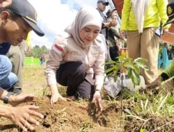 Diinisiasi DLHK Bulukumba, Legislator PKB Nurlina Ikut Aksi Tanam Pohon Serentak
