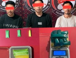 Terlibat Kasus Narkoba, Tiga Pelaku Diamankan Polres Torut