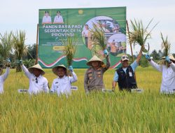 Dukung Ketahanan Pangan, Kapolres Luwu Hadiri Panen Padi Serentak