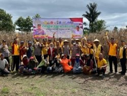 Panen Raya Bersama Polri: Polres Luwu Menyatu dengan Petani Demi Swasembada Pangan 2025