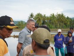 Bupati Pinrang Irwan Hamid Menemui Masyarakat Petani di Desa Sipatuo