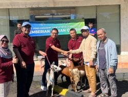 Jelang Idul Adha 1446 H,GMTD Salurkan Hewan Kurban untuk Masyarakat Sekitar