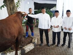BSI Distribusian Hewan Kurban Sapi dan Kambing Sebanyak 15.272 Ekor di Iduladha 1446 H
