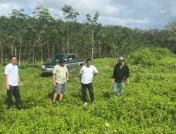 Tahap Awal Sirkuit Motocross Bulukumba Mulai Dikerja
