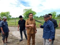 Wabup Pinrang Tinjau Lokasi Bencana Angin Kencang di Desa Salipolo, BPBD Lakukan Assessment Kerugian