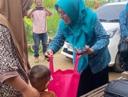 Ketua TP PKK Pinrang Serahkan Bantuan untuk Korban Angin Kencang di Salipolo