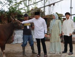 Kapolres Luwu : “Lewat Kurban, Kita Belajar Ikhlas dan Peduli Sesama”