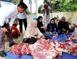 Polres Parepare Kurban Enam Ekor Sapi di Idul Adha 1446 H